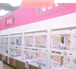 ホームセンターコーナン 徳島小松島店内ペットプラザ