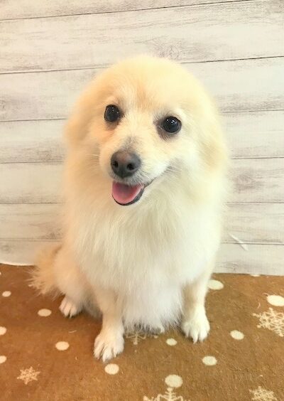 あさひ