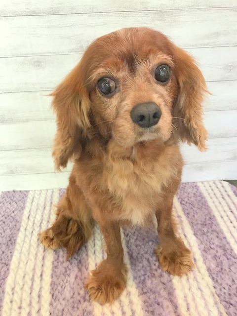 やまと