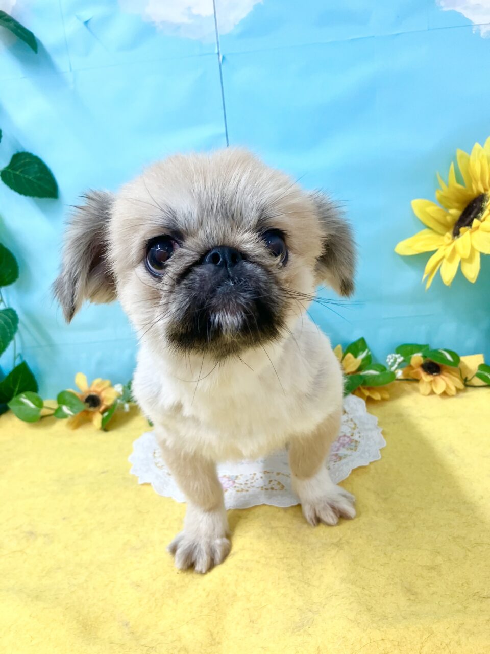 おでん