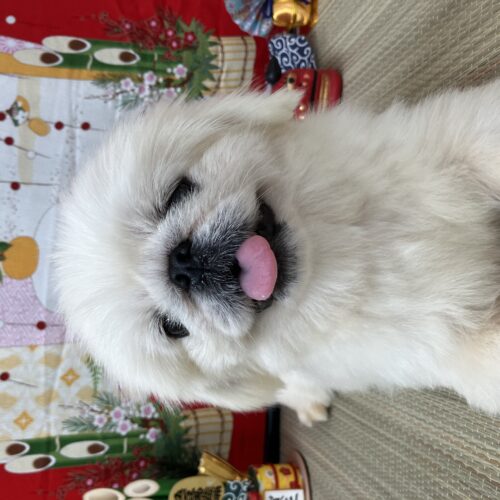 ナヨン