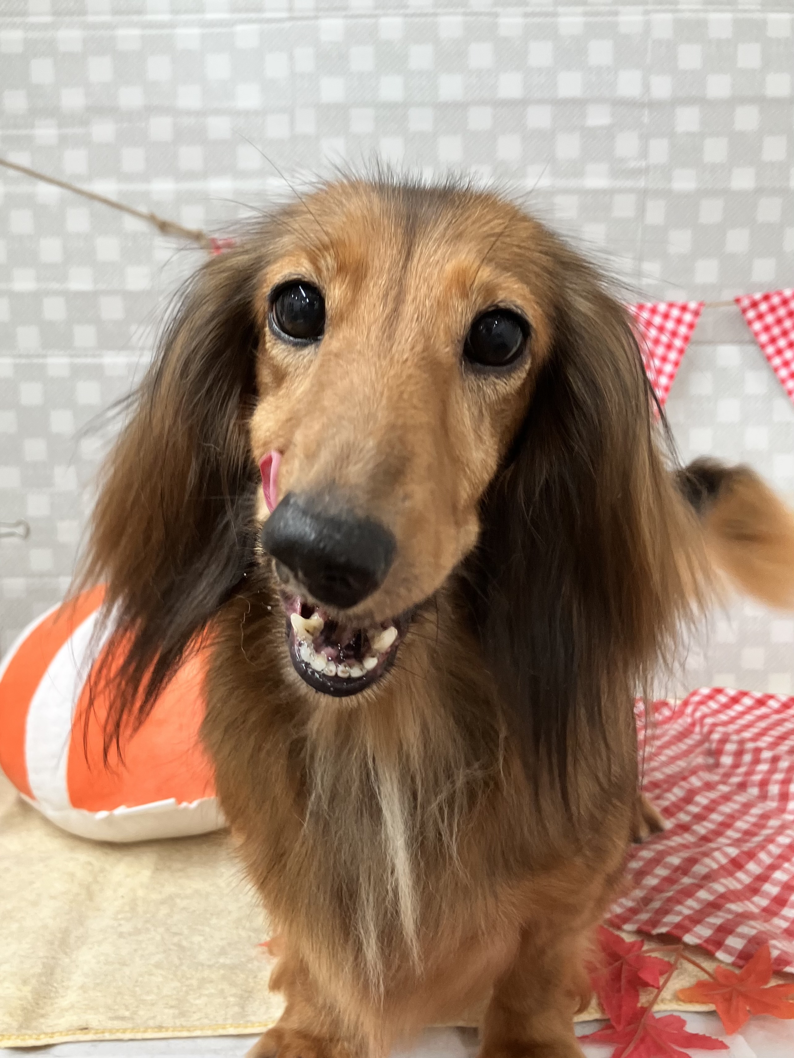 ★レタスちゃん★