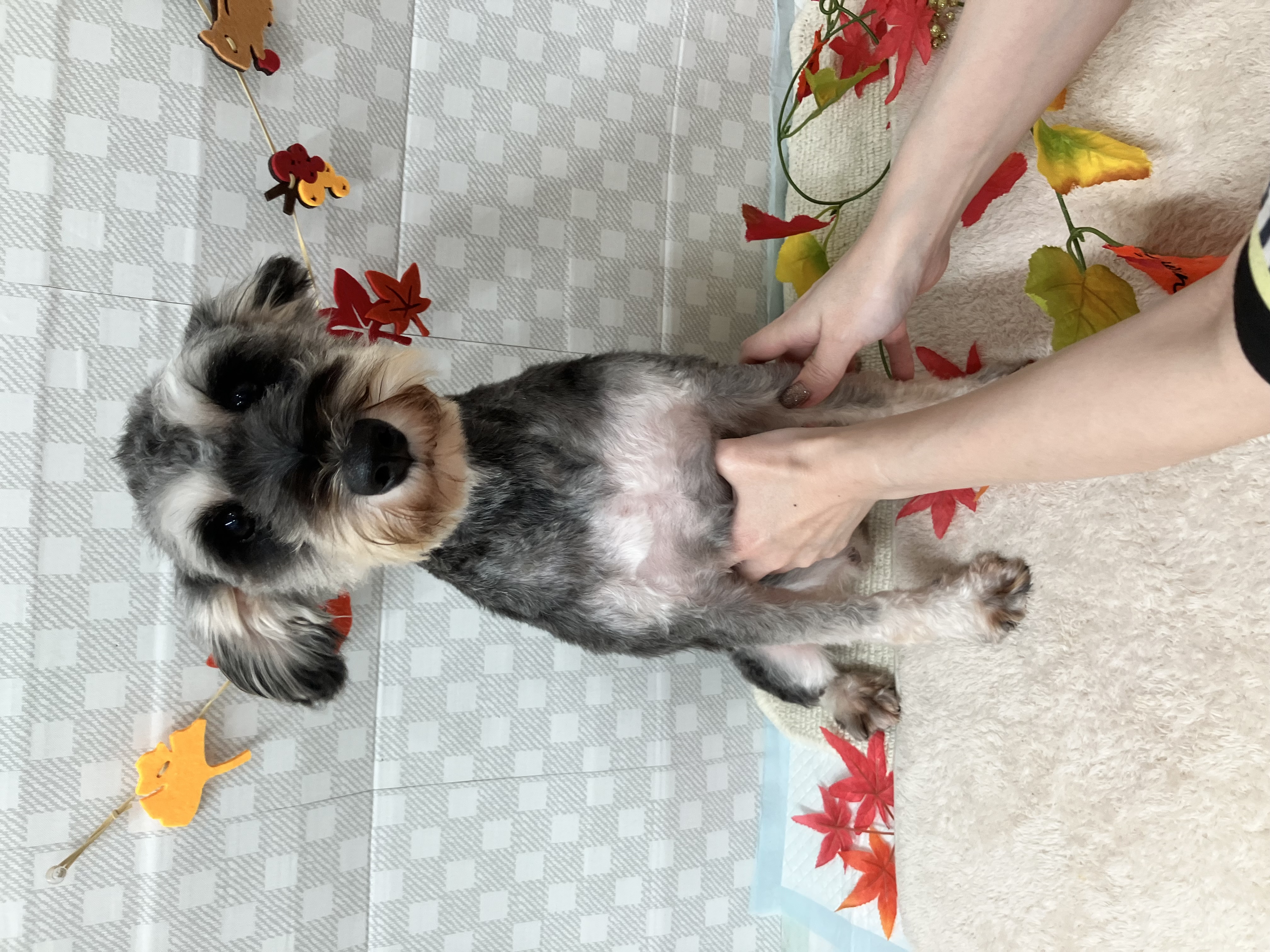 ☆ハオンちゃん☆