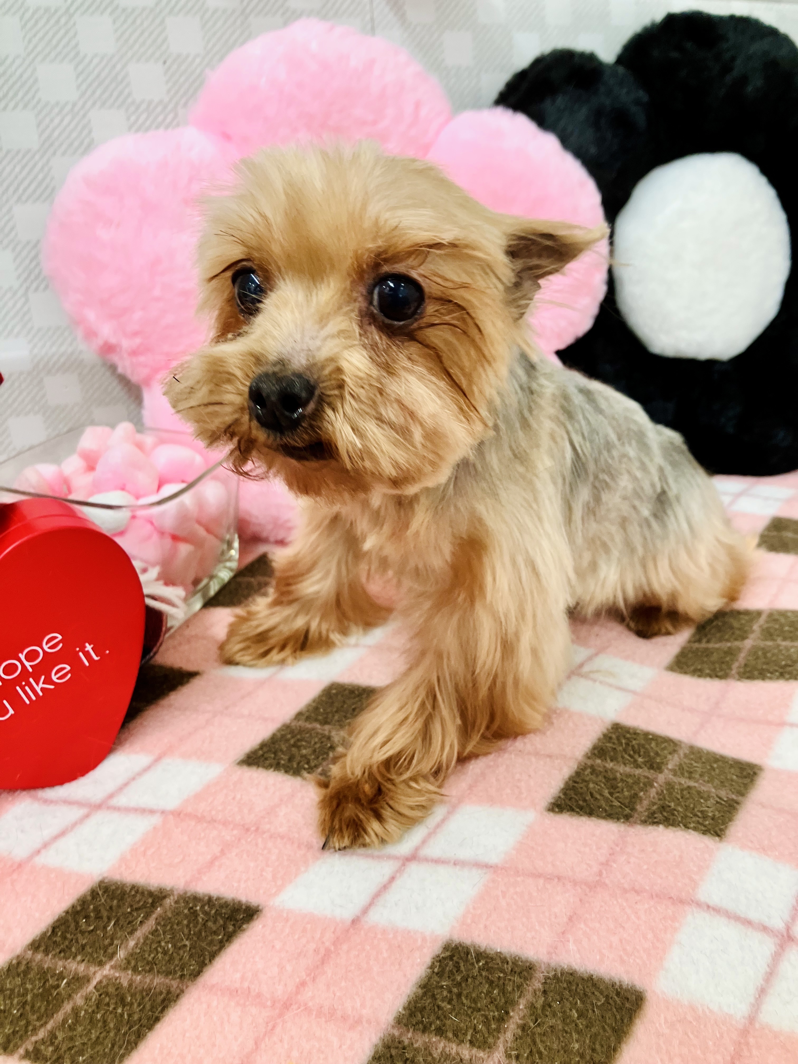 ☆りなちゃん☆